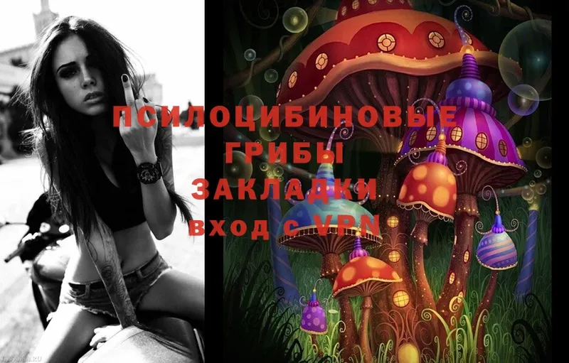 Псилоцибиновые грибы Psilocybine cubensis  купить закладку  Петропавловск-Камчатский 